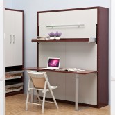 Vertical Hidden Wall Bed, Space Saving Foldable Murphy Bed, Queen Size, with Shelf and Desk (QV-110)
