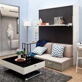 Shelf + Attached Sofa + Queen Vertical Hidden Wall Bed, Space Saving, Foldable Murphy Bed (QV-101A)